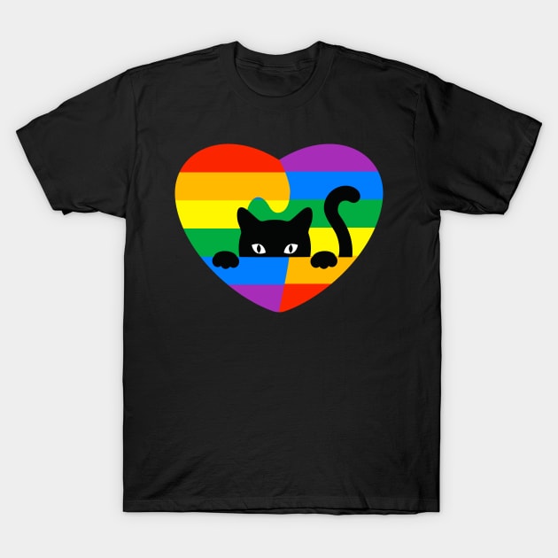 cat Rainbow Flag Human Rights Womens & Gay Rights LGBTQ+ Pride T-Shirt by IYearDesign